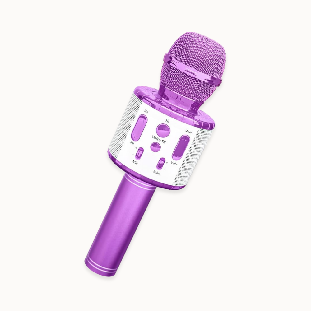 Kids Karaoke Microphone - Lavender – Move2Play